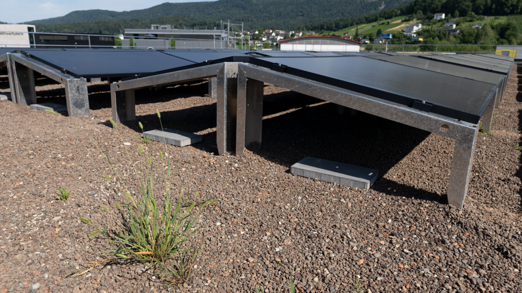 Duraklick Unterkonstruktion mit Solarmodulen auf einem begrünten Flachdach
